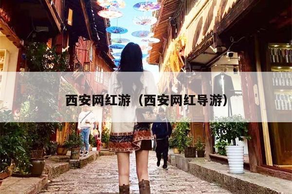西安网红游（西安网红导游）