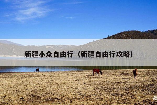 新疆小众自由行（新疆自由行攻略）