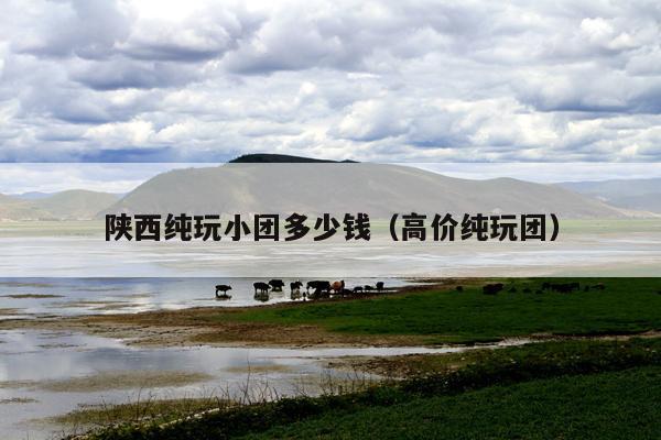 陕西纯玩小团多少钱(高价纯玩团)