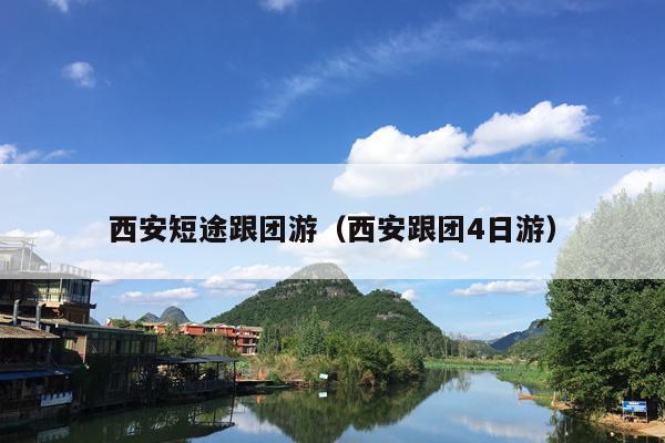 西安短途跟团游(西安跟团4日游)