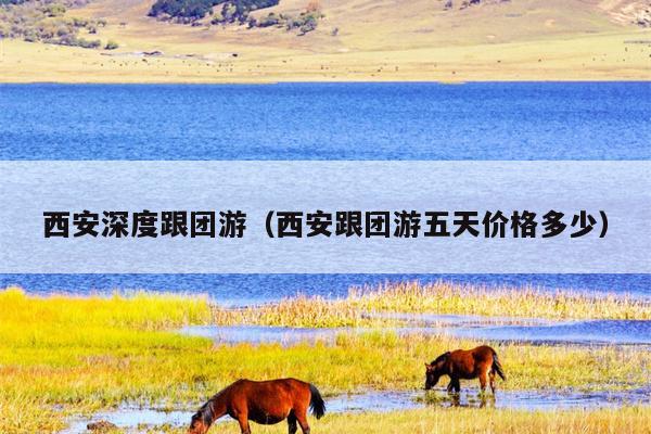 西安深度跟团游(西安跟团游五天价格多少)